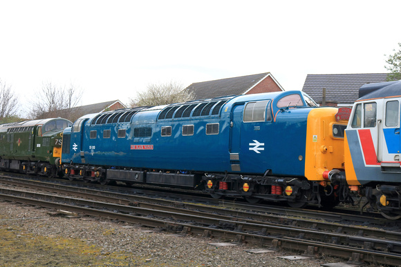 Deltic 55009 'Alycidon' poses as 55013 'The Black Watch' seen at the Holding Sidings, Loughborough, GCR on 2.3.24. Also seen D6700 and 50017