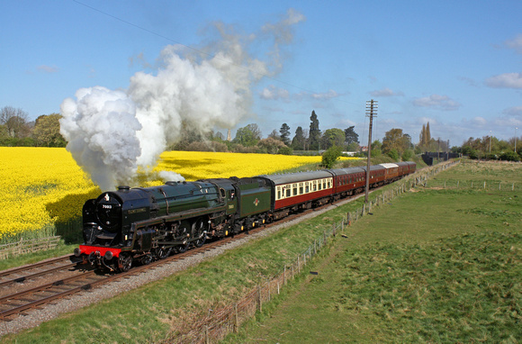 BR Standard Class 7 No 70013 'Oliver Cromwell' at Woodthorpe alongside a glorious yellow oil rapeseed field 18.4.14 with 1000 Loughborough - Leicester North service at the GCR Easter Vintage Festival