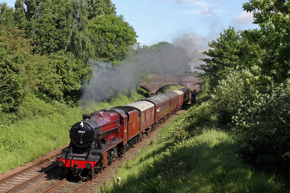 LMS Red 8F 48624 passes through Beeches Road Cutting, Loughborough on 8.6.14 with 1000 Loughborough - Leicester North GCR service in lovely morning sunshine