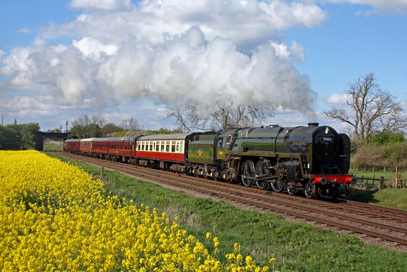 BR Standard Class 7 No 70013 'Oliver Cromwell' at Woodthorpe alongside a glorious yellow oil rapeseed field on 19.4.14 with 1630 Loughborough - Leicester North service at the GCR Easter Vintage Festiv