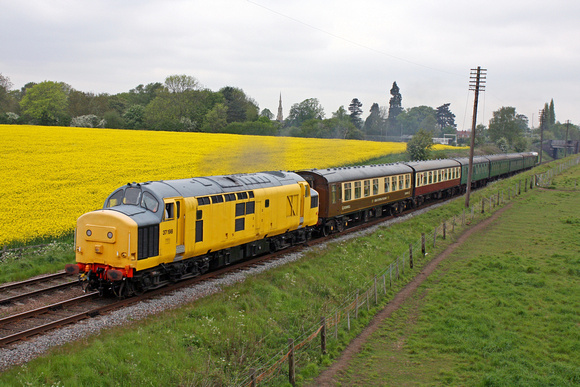 37198 tnt D8098 at Woodthorpe on 20.5.12 with 1450  Loughborough - Leicester North service at the GCR Spring 2012 Diesel Gala alongside a lovely yellow oild seed rape field