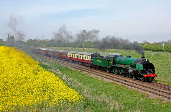 SR 4-6-0 King Arthur Class No 777 (30777) 'Sir Lamiel' at Woodthorpe alongside a glorious yellow oil rapeseed field on 21.4.14 with 1505 Loughborough - Leicester North service at the GCR Easter Vintag