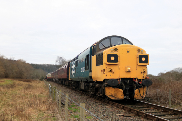 Class 37 No 37025 'Inverness TMD' powers through Kinneil Local Nature Reserve on 12.2.23 with 1030 Bo'Ness  - Manuel - Bo'ness service at the Bo'Ness and Kinneil Railway. At the rear is NCB Fife area,