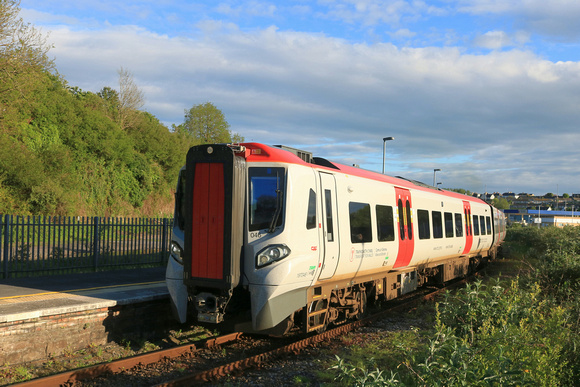Transport for Wales Class 197 No 197046 departs from the start of the line at an overgrown Milford Haven station on 15.5.24 with 1B41 1915 Milford Haven to Cardiff Central service