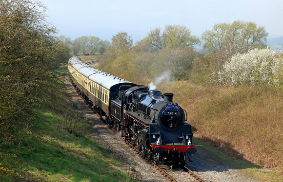 Standard class 4 4-6-0 no. 75014 'Braveheart' on three-month visit Dartmouth Steam Railway is seen approaching Hayles Abbey Halt on a lovely spring morning, 9.4.23, with 1000 Cheltenham to Broadway GW