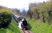 GWR Castle Class 4079 'Pendennis Castle' passes along the green corridor at Bighton Lane Bishop's Sutton on 29.4.23 with 1420 Alresford to Alton at the Watercress Line Spring Steam Gala April 2023