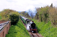 GWR Castle Class 4079 'Pendennis Castle' passes along the green corridor at Bighton Lane, Bishop's Sutton on 29.4.23 with 1420 Alresford to Alton at the Watercress Line Spring Steam Gala April 2023
