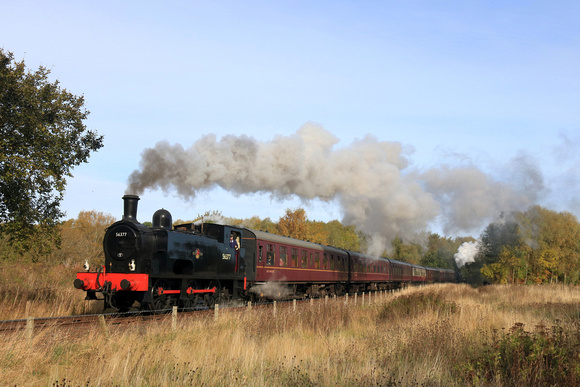 Neilson Reid No.1 Lord Roberts in black masquerading as 56377 heads through Kinneil Local Nature Reserve on 13.10.24 with 1130 Bo'ness to Birkhill at Steam Steel Road &Rail event at Bo'ness Kinneil Ra