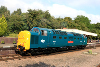 Deltic Class 55 No 55019 Royal Highland Fusilier at Leicester North station on 6.9.24 at GCR Autumn Diesel Gala 2024