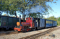Narrow Guage Hunslet 0-4-0 saddle tank 'Irish Mail' nears Becconsall station, Hesketh Bank on 15.10.23 at the West Lancs Light Railway Pumpkin Express Special Event Day