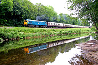 25901 alongside the River Dart at Riverford  on 11.6.06 with the 1517 Totnes - Buckfastleigh service at the South Devon Railway  Diesel Gala June 2006