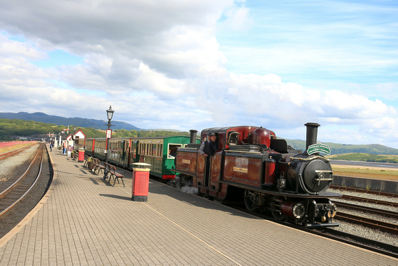 Double Fairlie 'Merddin Emrys' arrives at Porthmadog station, Ffestiniog and Welsh Highland Railways on 11.6.24 with 1625 Bl. Ffestiniog to Porthmadog  'Woodland Wanderer' service