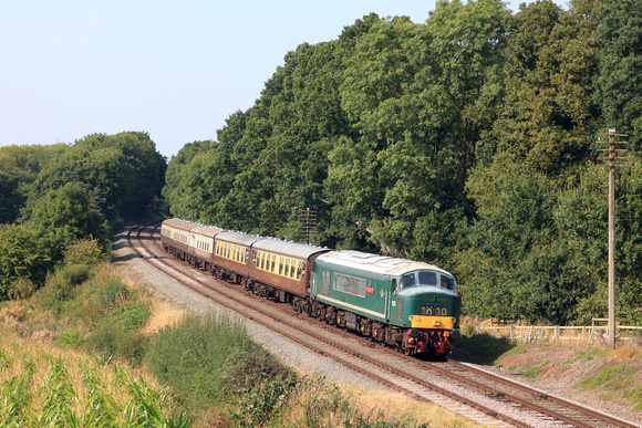 D123 Leicestershire & Derbyshire Yeomanry passes Kinchley Lane on 6.9.24 with 2A33 1505 Loughborough to Leicester North service at GCR Autumn Diesel Gala 2024