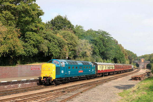 Deltic Class 55 No 55019 Royal Highland Fusilier arrives at Leicester North station on 6.9.24 with 2A09 1025 Loughborough to Leicester North service at GCR Autumn Diesel Gala 2024