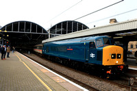Class 45 Peak No 45118 (D67) The Royal Artilleryman gets admiring looks at Newcastle station on 8.11.24 with 1Z66 0936 Liverpool Lime Street to Newcastle Pennine Peak Intercity Railtour