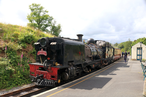 South African NG G16 No.87 waits at Beddgelert station, Ffestiniog and Welsh Highland Railways line on 15.6.24 with 1410 Caernarfon to Porthmadog 'The Harbourmaster ' service