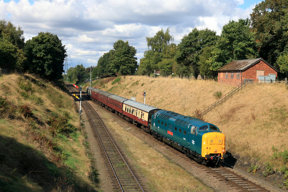 Guest loco Deltic 55019 Royal Highland Fusilier approaches Rothley station on 8.9.24 with 2A27 1355 Loughborough to Leicester North service at GCR Autumn Diesel Gala 2024