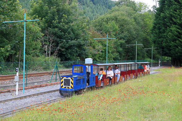 Diesel loco Gwydir Castle leads a mini train around the grounds of the Conwy Valley Railway Museum miniature railway at Betws-y-Coed, in the Conway Valley seen on 5.7.24